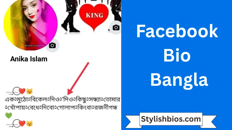 Facebook Bio Bangla