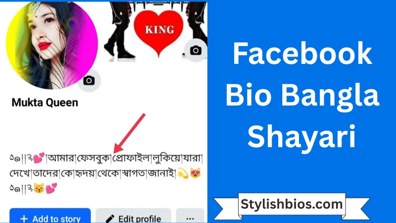 Facebook Bio Bangla Shayari
