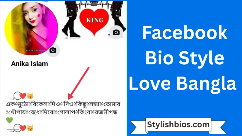 Facebook Bio Style Love Bangla