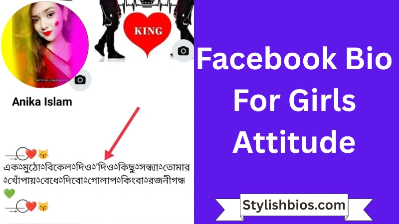 Facebook Bio for Girls Attitude