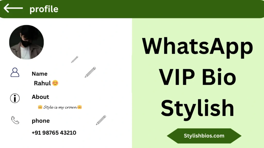 WhatsApp VIP Bio Stylish