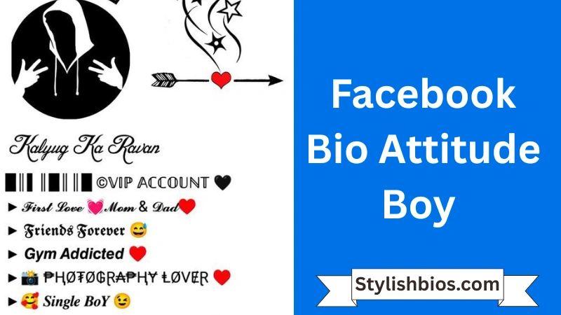 Facebook Bio Attitude Boy