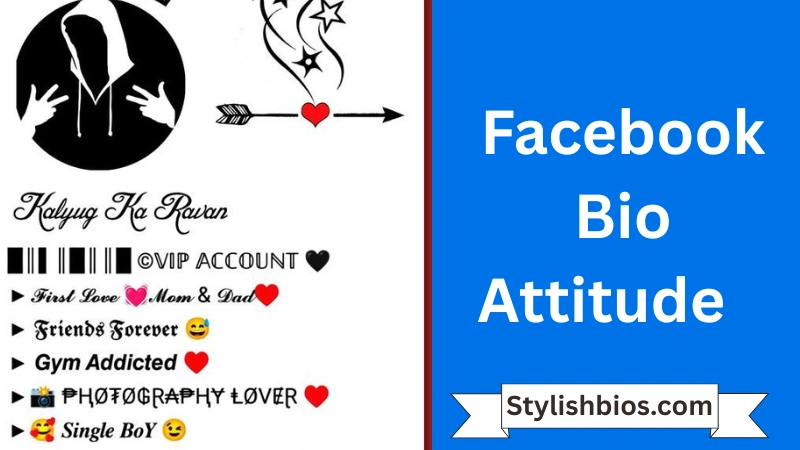 Facebook Bio Attitude