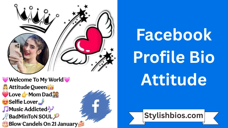Facebook Profile Bio Attitude