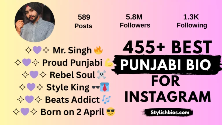 Instagram Bio in Punjabi