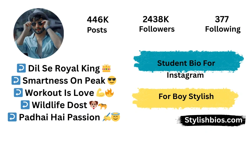 Student Bio For Instagram For Boy Stylish