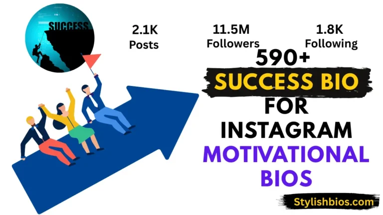 success bio for instagram