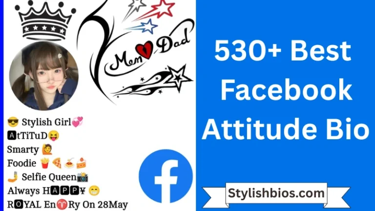 530+ Best Facebook Attitude Bio